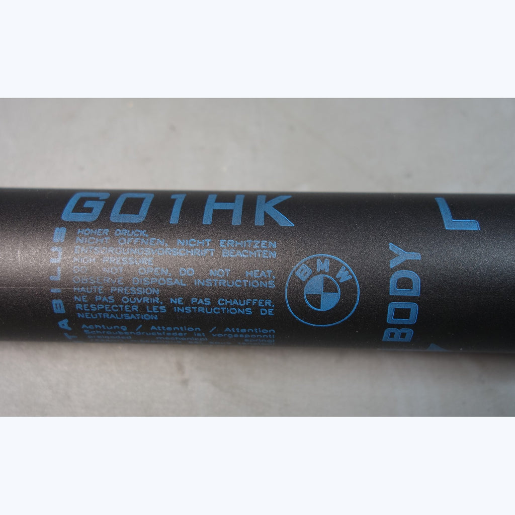 2018-2021 BMW G01 X3 SAV REAR Trunk Lift Shock Spindle Drive Pair OEM