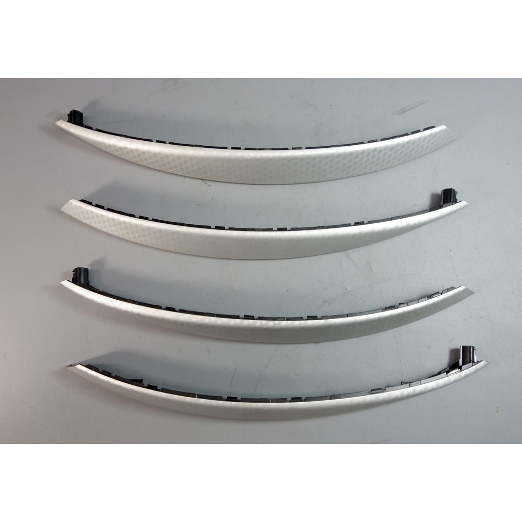 2004-2006 BMW E83 X3 Interior Door Grab Handle Cloud Cut Aluminum Trim OEM