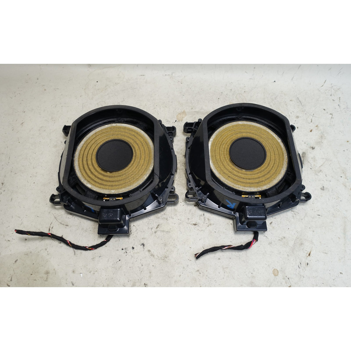 BMW E70 X5 Factory Individual Audio Central Subwoofer Pair 2007-2013 OEM