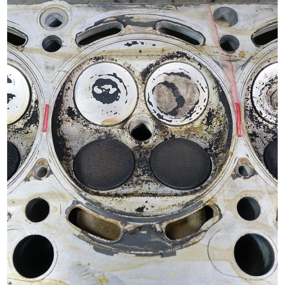 1999-2003 BMW E38 740 E39 540 M62TU 4.4L Right Bank 1 Cylinder Head 1-4 OE