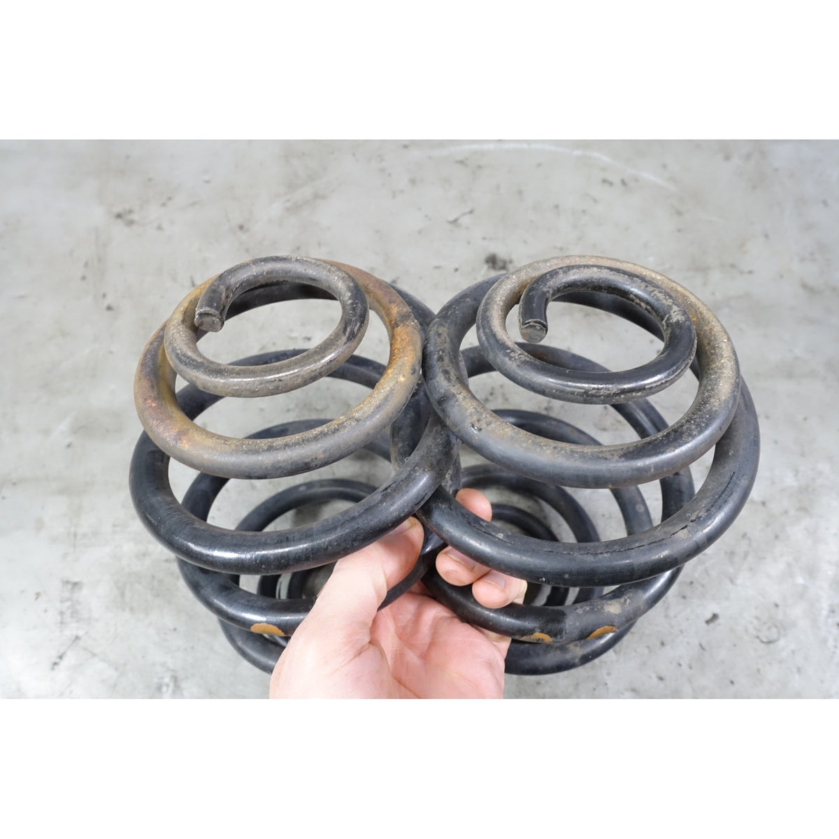 96-98 BMW Z3 1.9 Roadster M44 4-Cyl Factory Rear Axle Coil Barrel Springs OEM