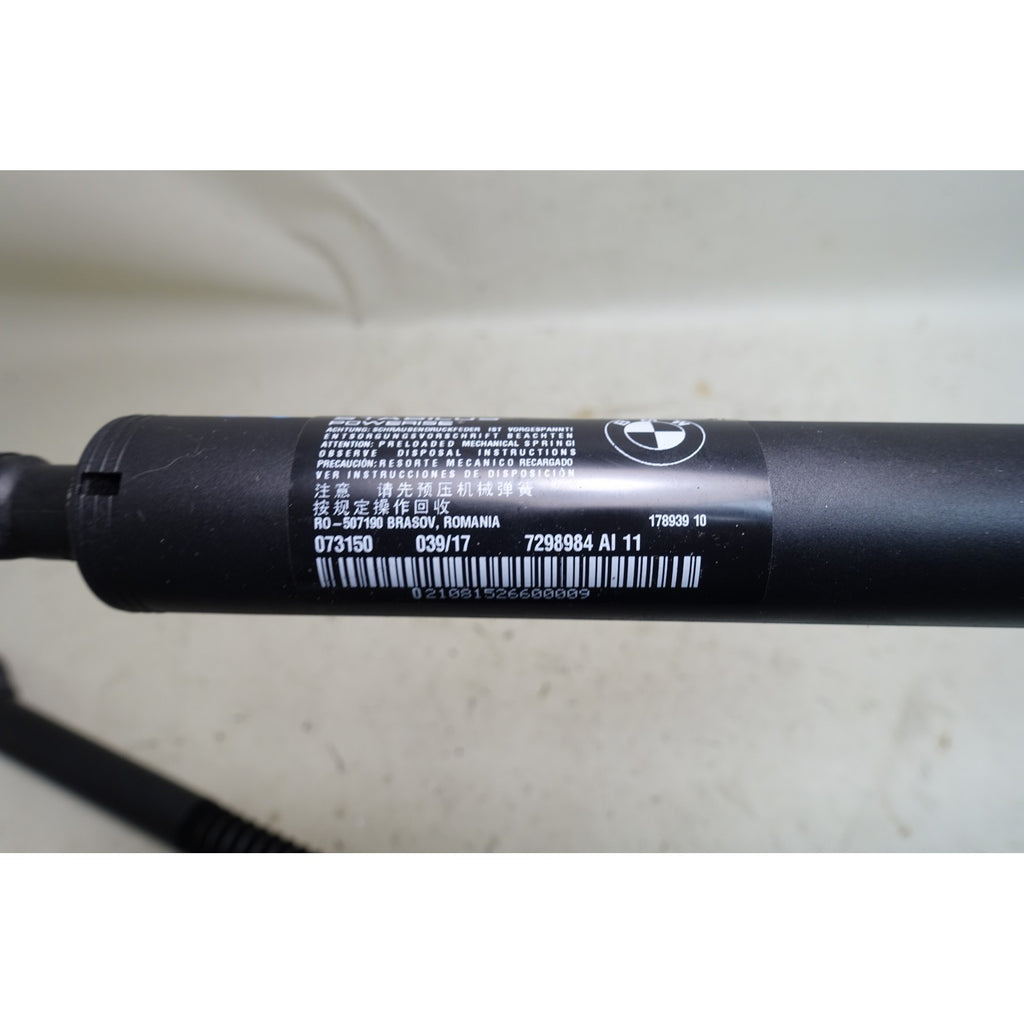 2014-2019 BMW F34 3-Series Gran Turismo GT Factory Trunk Strut Spindle Pair OEM