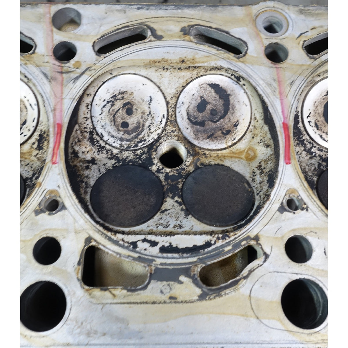 1999-2003 BMW E38 740 E39 540 M62TU 4.4L Right Bank 1 Cylinder Head 1-4 OE