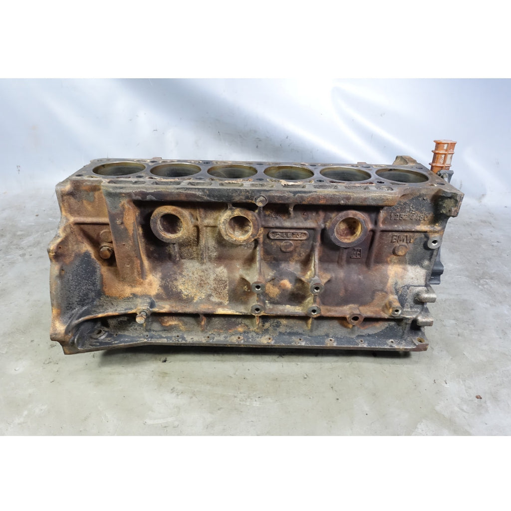 BMW E3 Bavaria E12 530i 630CSi M30B30 Cylinder Engine Block 1972-1978 OEM
