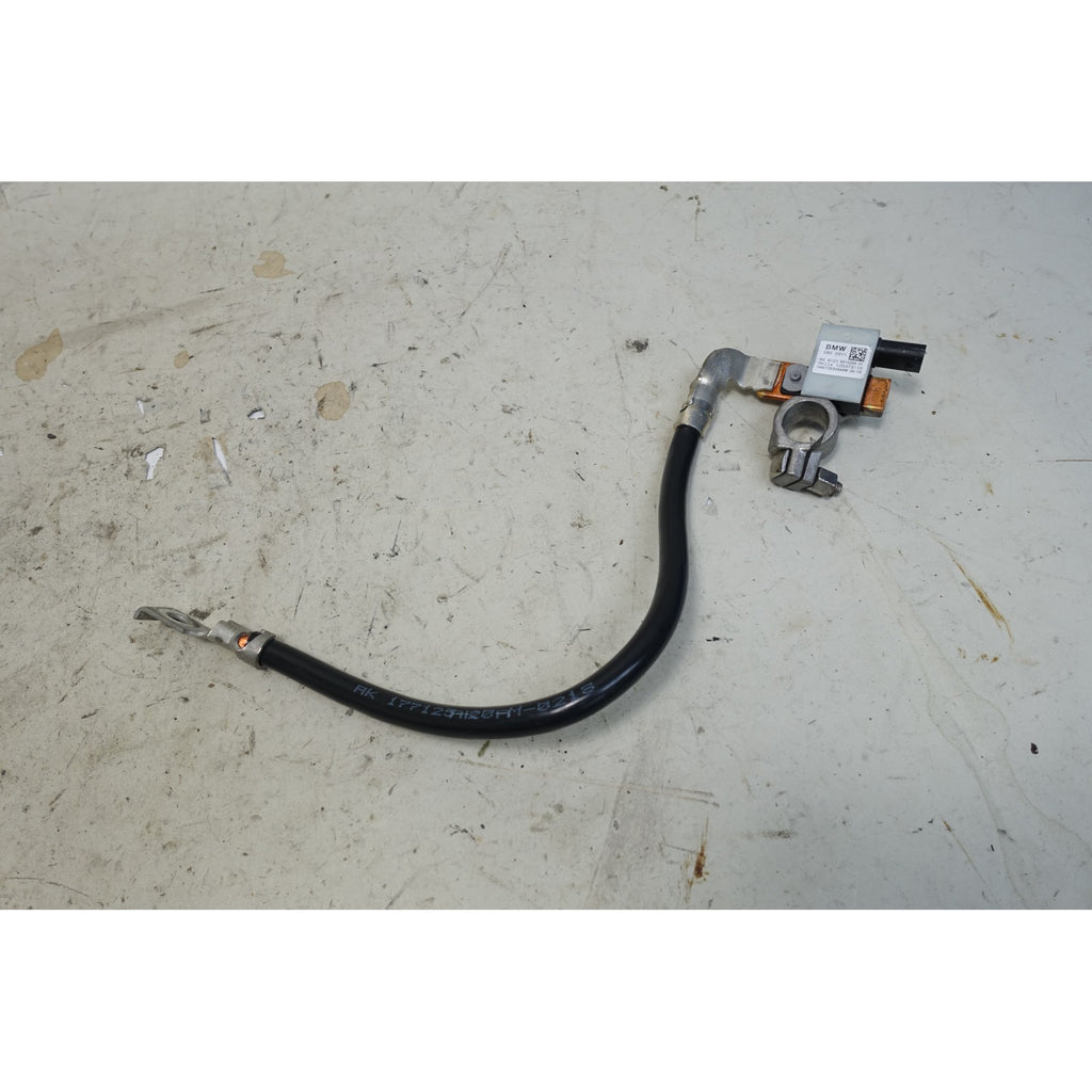 BMW F15 X5 F16 X6 Factory Negative Black Battery Cable IBS OEM 2014-2019