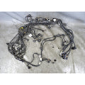 BMW F15 X5 F16 X6 50iX N63N Bank 1 Right Cyl 1-4 Engine Wiring Harness 2014-2015